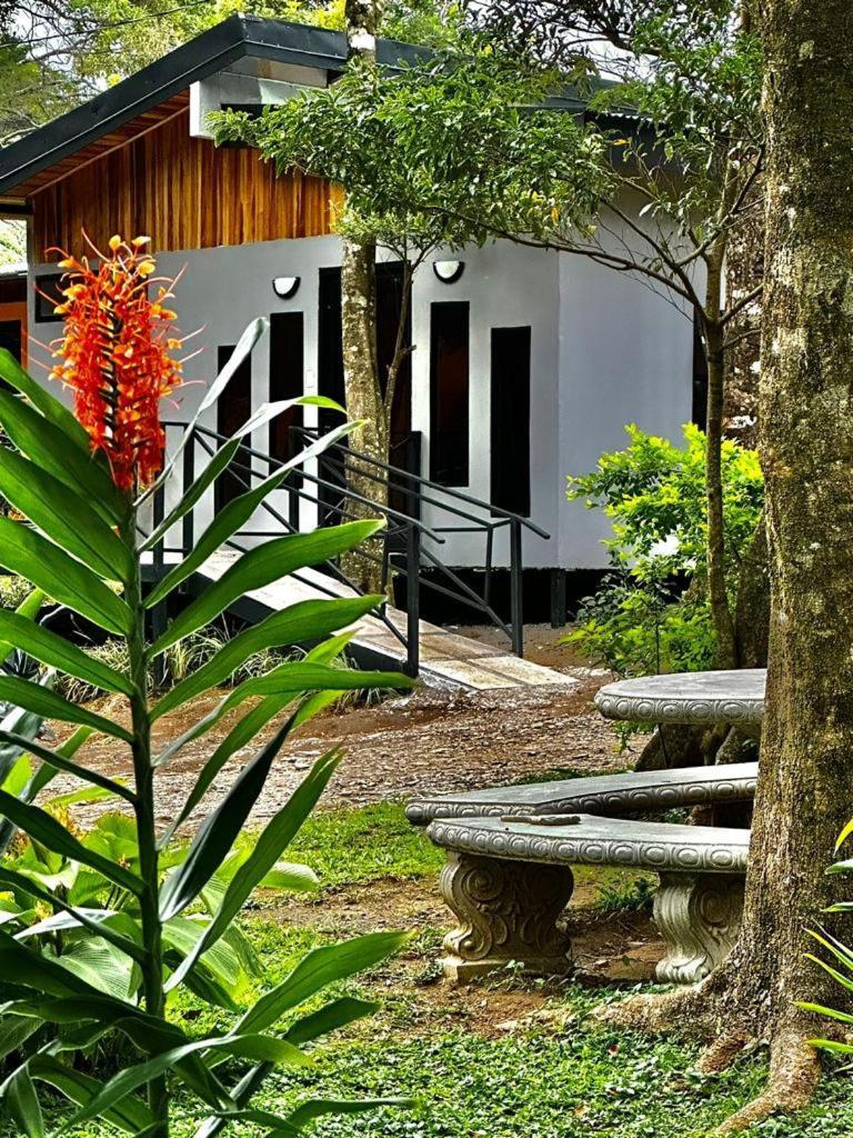 Cabanas Roca Verde Monteverde Buitenkant foto