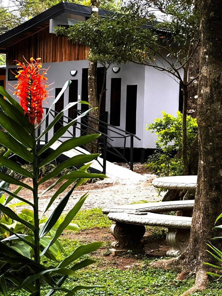 Cabanas Roca Verde Monteverde Buitenkant foto