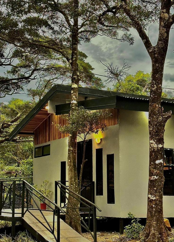 Cabanas Roca Verde Monteverde Buitenkant foto