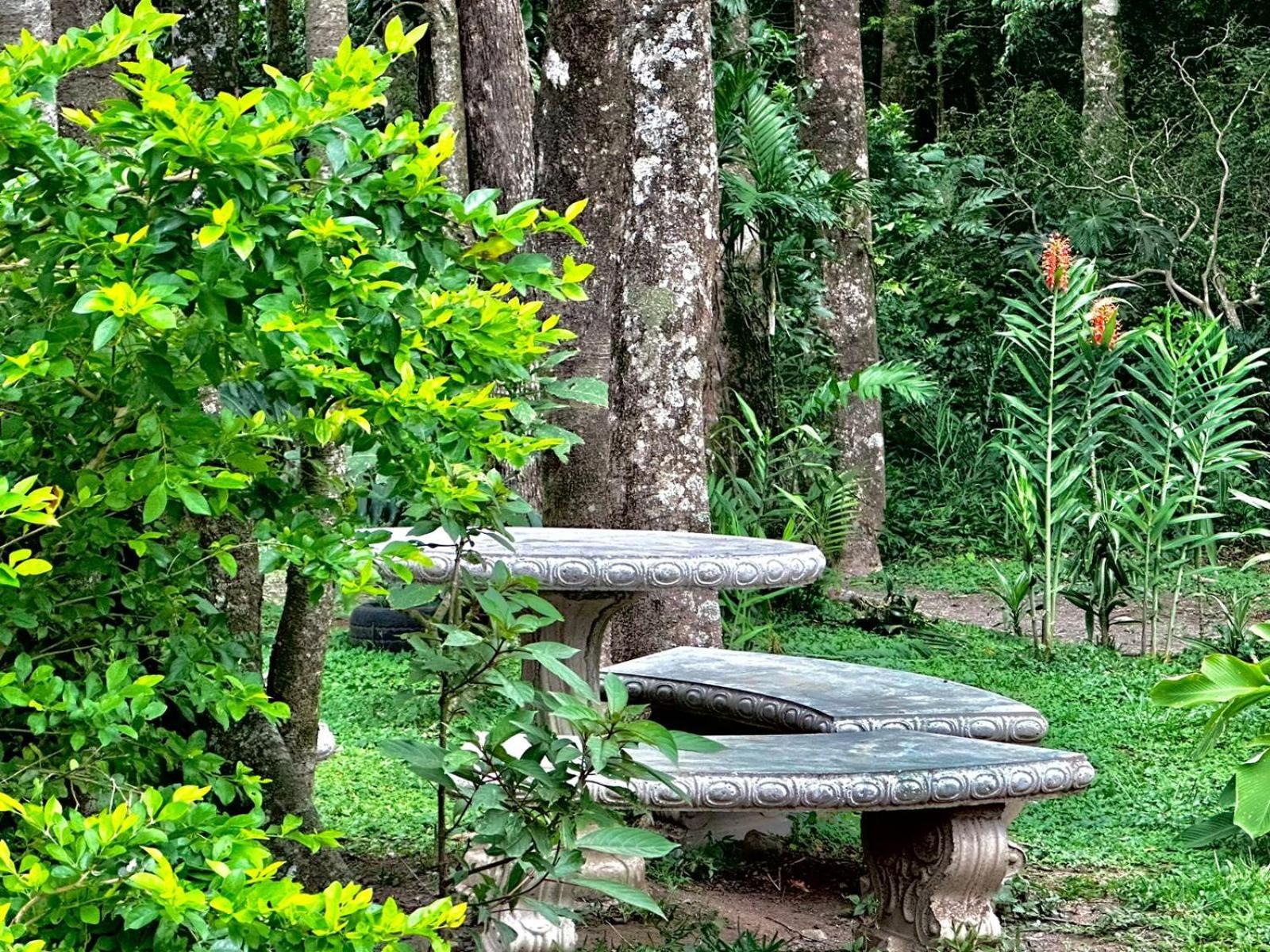 Cabanas Roca Verde Monteverde Buitenkant foto